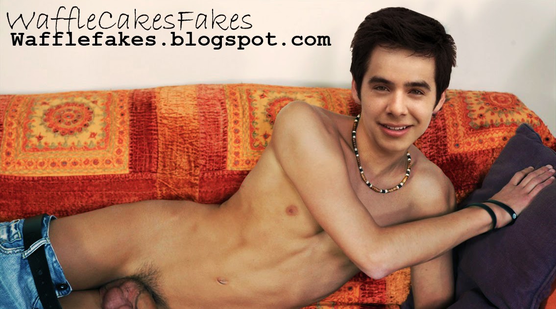 david archuleta in the nude David archuleta in the nude